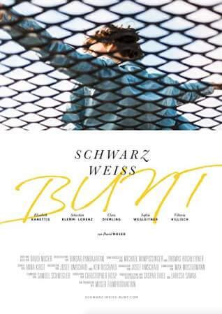 Черный Белый Разноцветный онлайн
